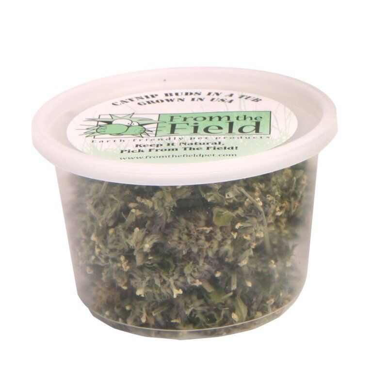 From the Field - Catnip Bud Tub