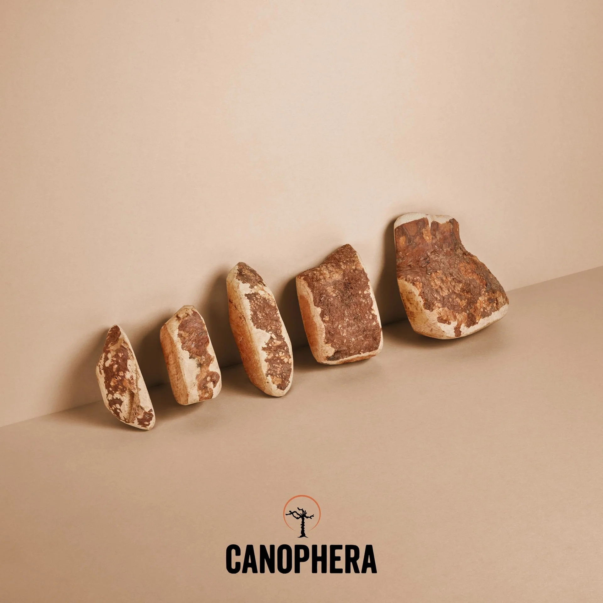 Canophera - Briar Wood Chew