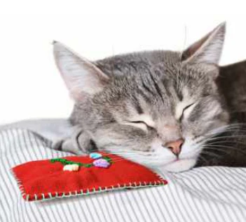 Goli Designs - Kitty Bag