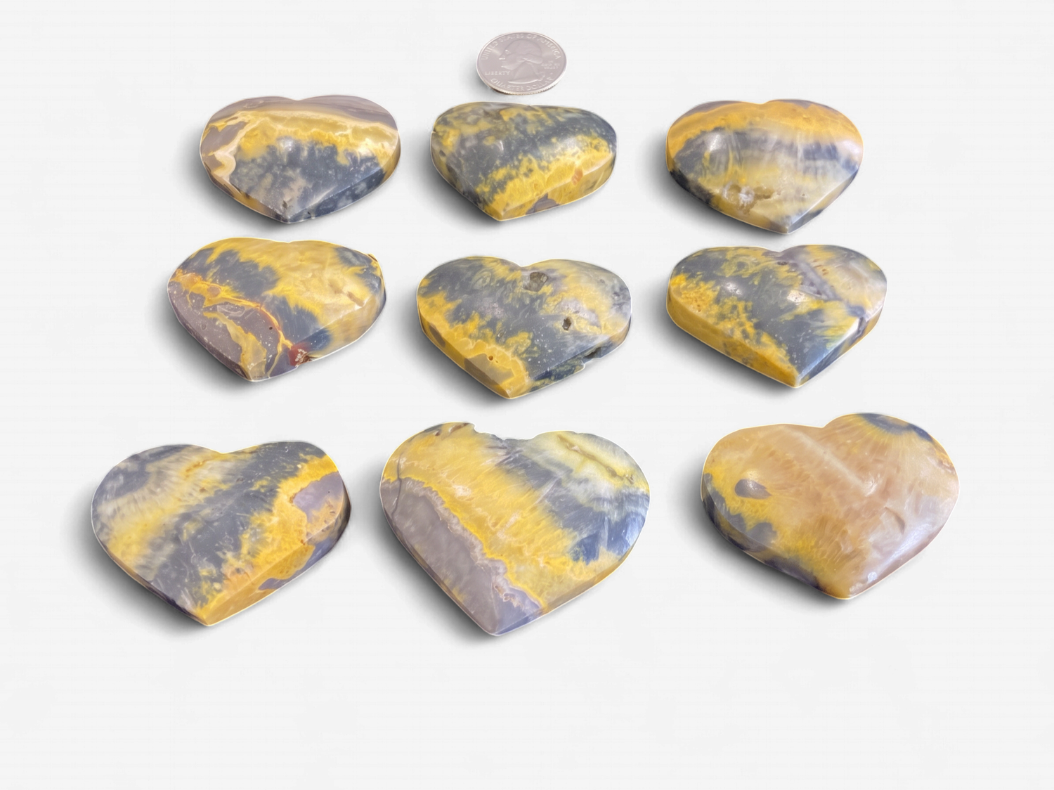 Bumblebee Jasper
