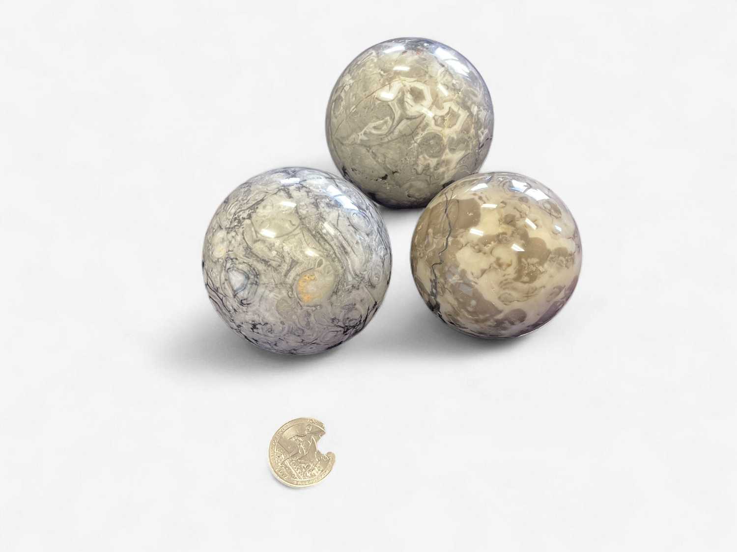 Fossil Jasper
