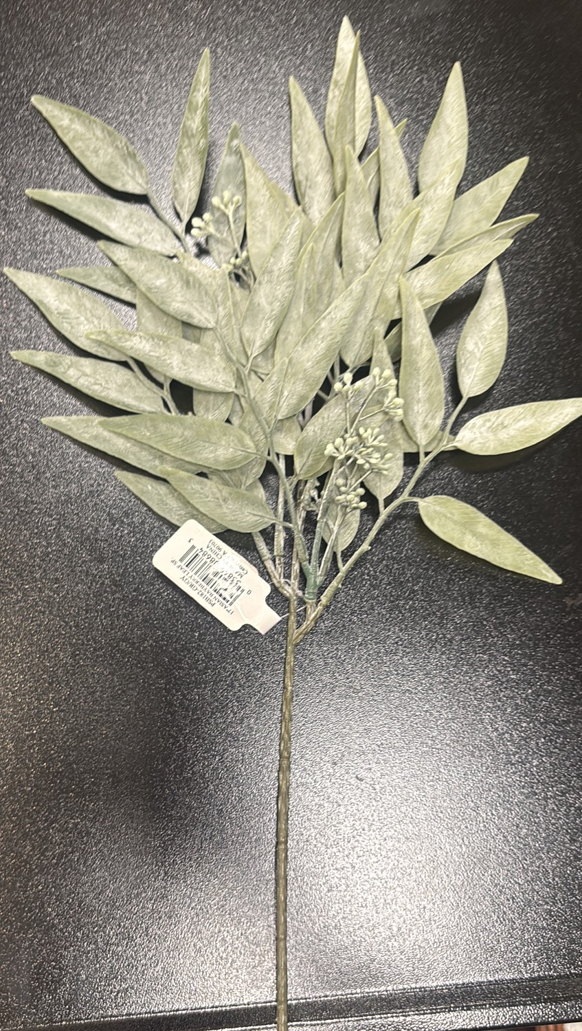 STEMS