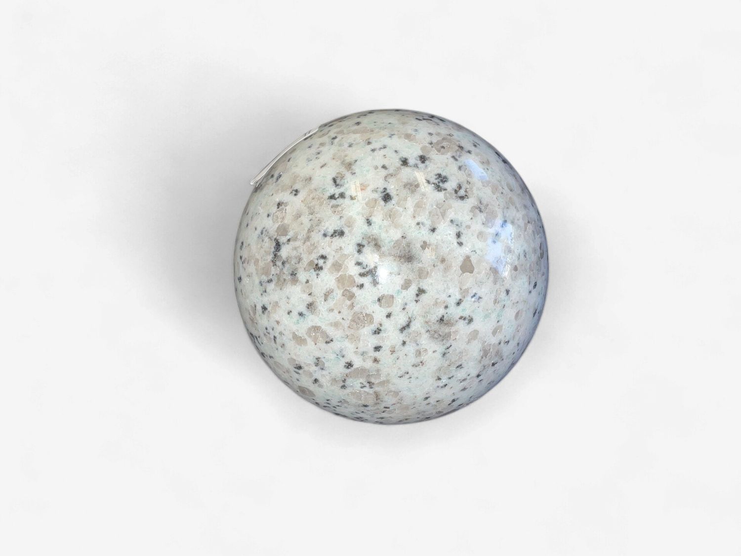 Kiwi Jasper