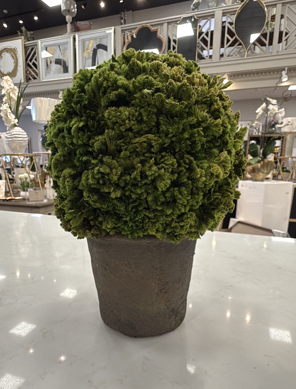 SHRUB