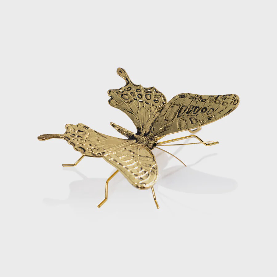 INSECTS