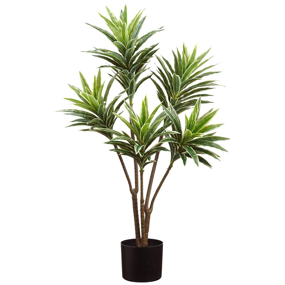 BUSH