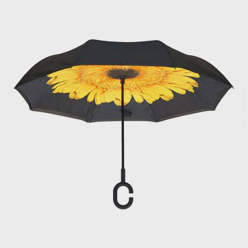 UMBRELLAS