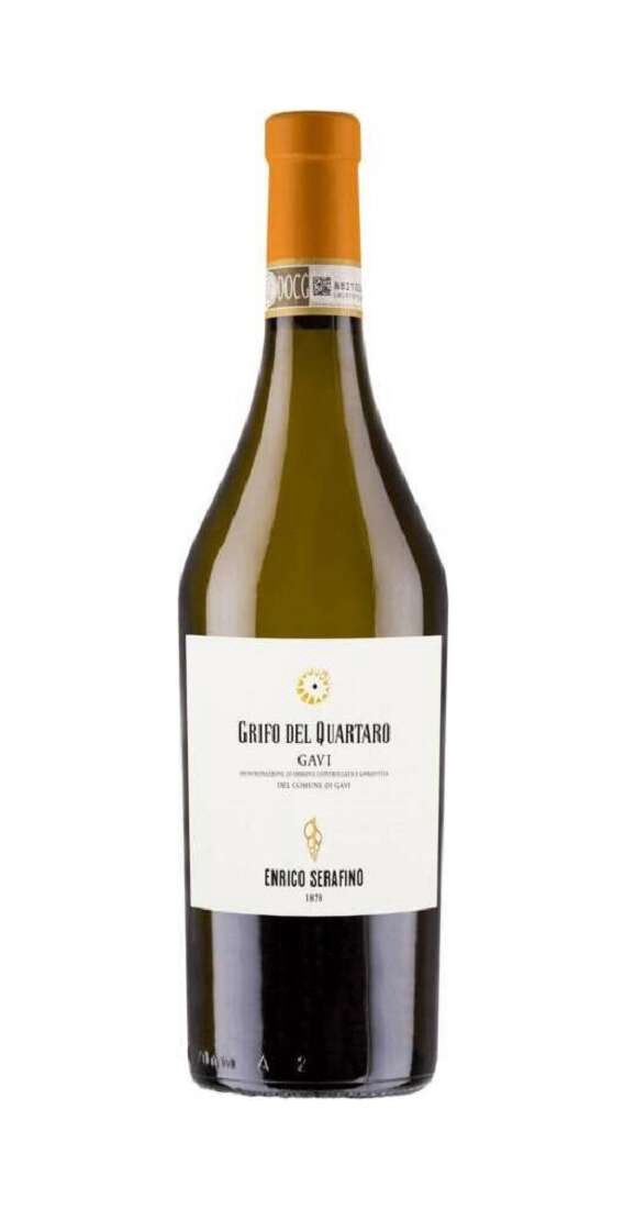 Gavi
