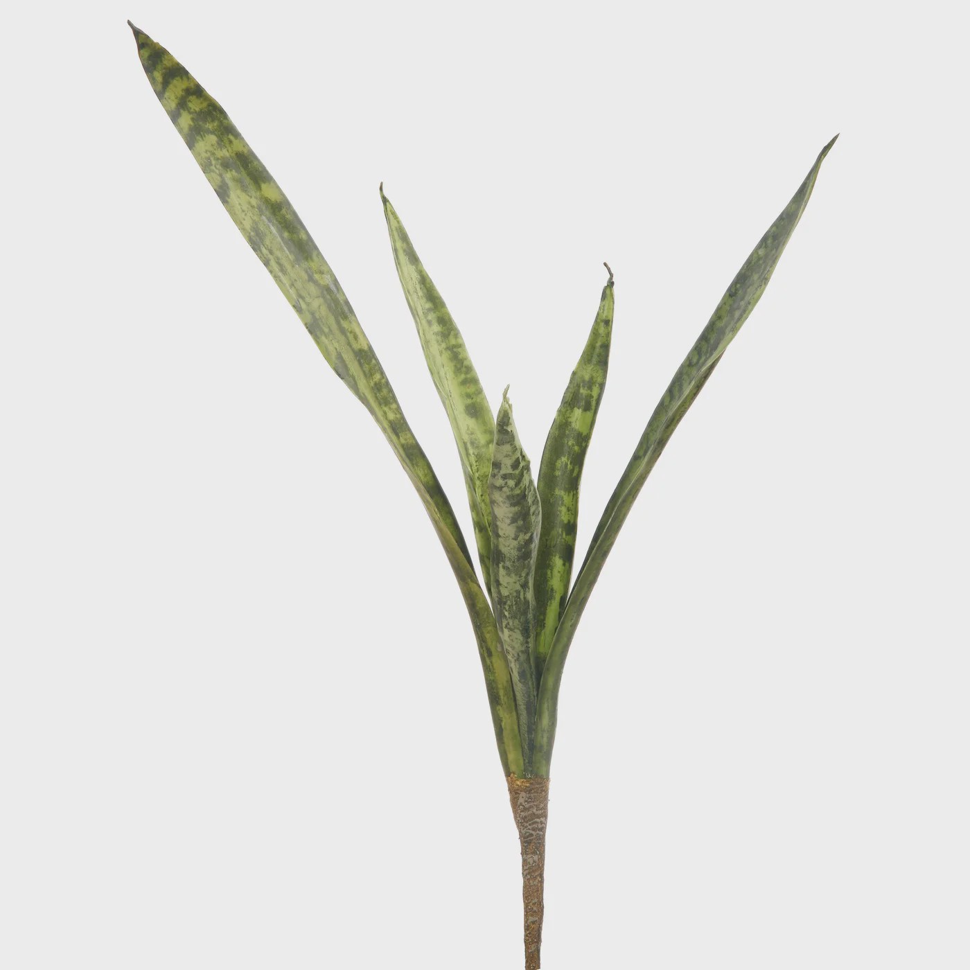 STEM