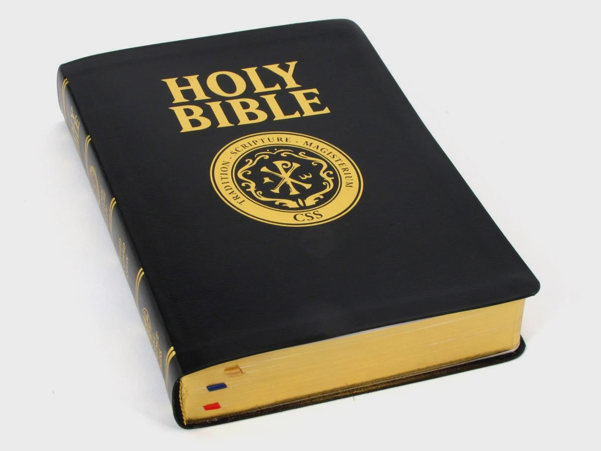 BIBLES 808