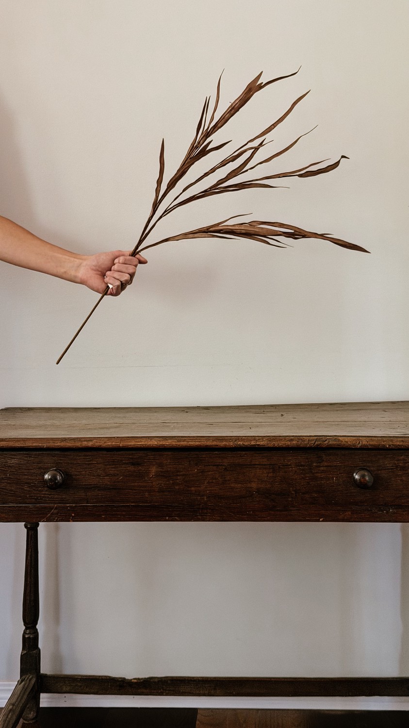 Willow Leaf - Brown