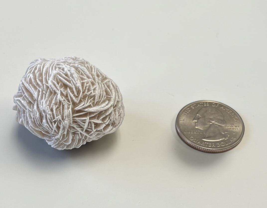 Desert Rose Selenite