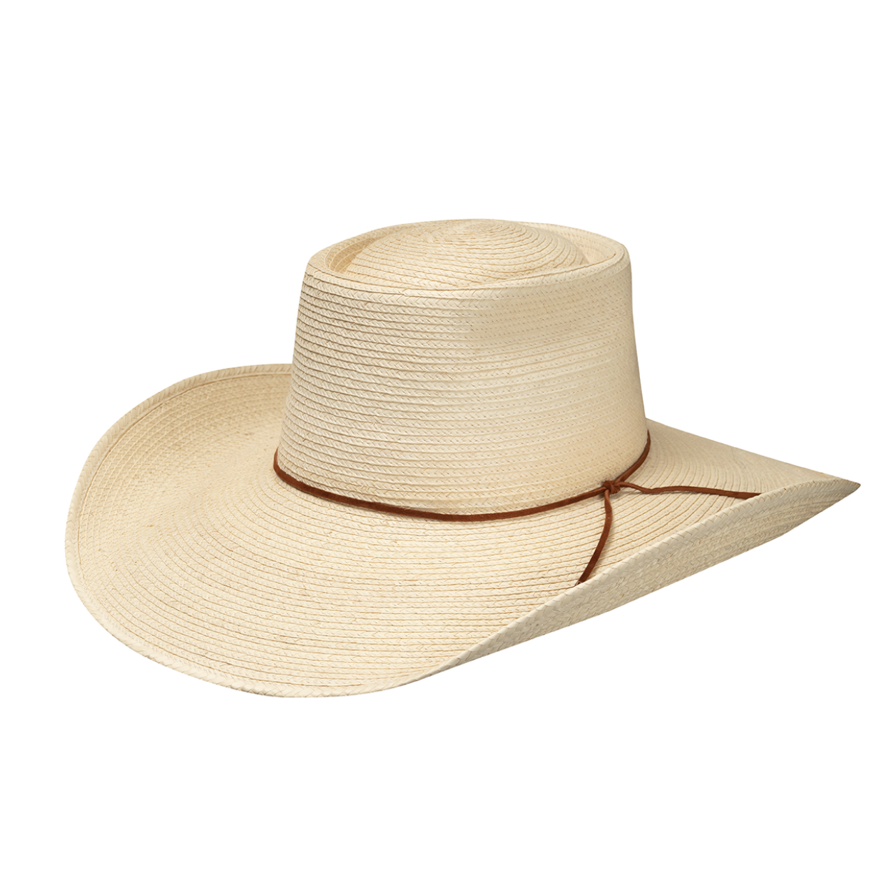 Sunbody