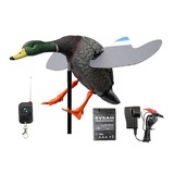 Game On Spinner Winner Drake Product Image Thumb 1