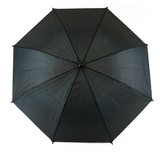 NY1225 - Black Umbrella