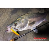 Decoy EX Snap Product Image Thumb 31287