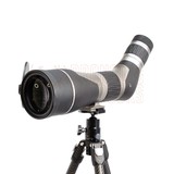 Leupold SX-2 Alpine HD Gen2 20-60x80 Angled Spotting Scope + Mountain Seeker Tripod Set Product Image Thumb 31060