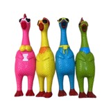 NY0581N - Rainbow Screaming Chicken