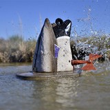 Higdon XS Crazy Kicker Mallard Drake Decoy 12V Product Image Thumb 22171