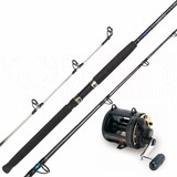 Shimano Triton TLD 25 + Shimano Aquatip 5'6" 24kg Non Roller Tip Product Image Thumb 1