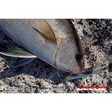 Decoy Pluggin Jack Single Hook Product Image Thumb 31293