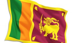 Flags Sri Lankan - Large (70 x 140cm)