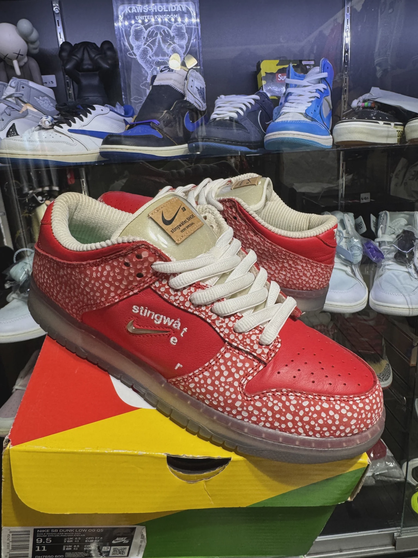 Nike SB Dunk Low Stingwater Magic Mushroom • Pre-Owned [8216]