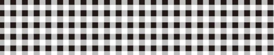 MT Washi Tape