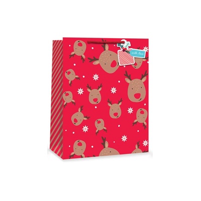 Festive Wonderland Everyday Gift Bags (D)