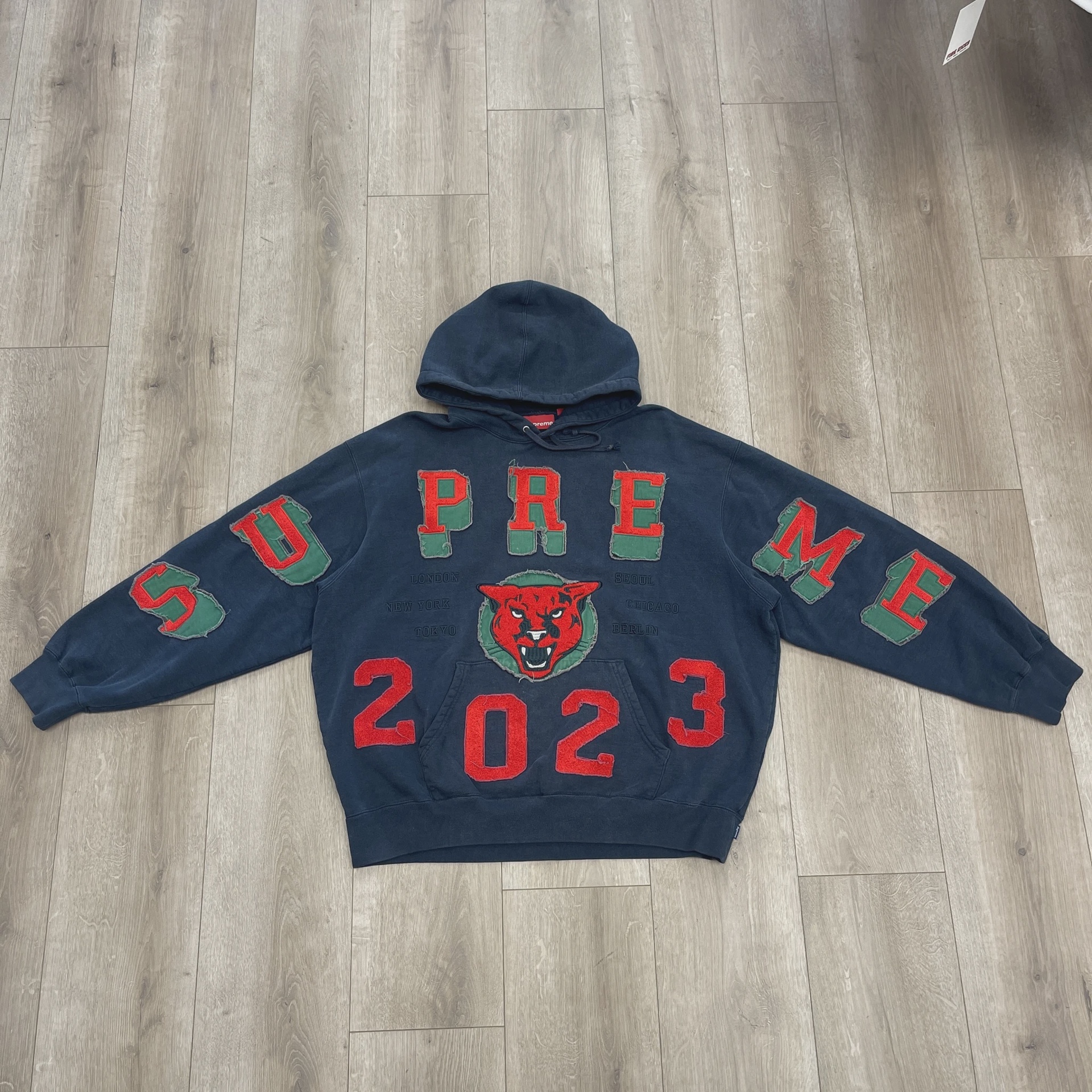 Supreme Washed Panther Hooded Sweatshirt • Pre-Owned [3286]