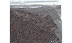 Monara Mustard Seeds 200g