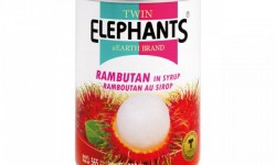 Twin Elephants Rambutan In Syrup 565g