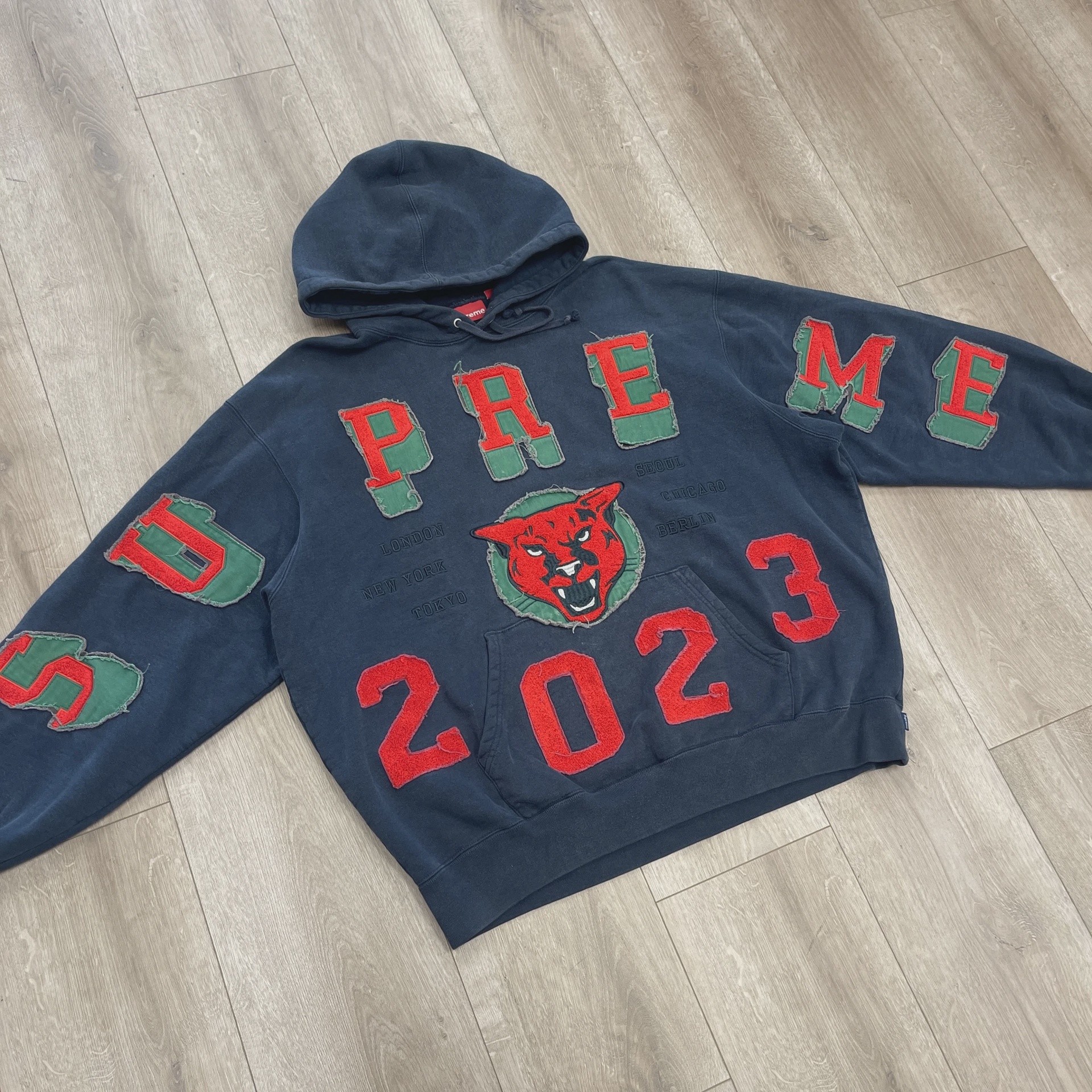 Supreme Washed Panther Hooded Sweatshirt • Pre-Owned [3286] 7