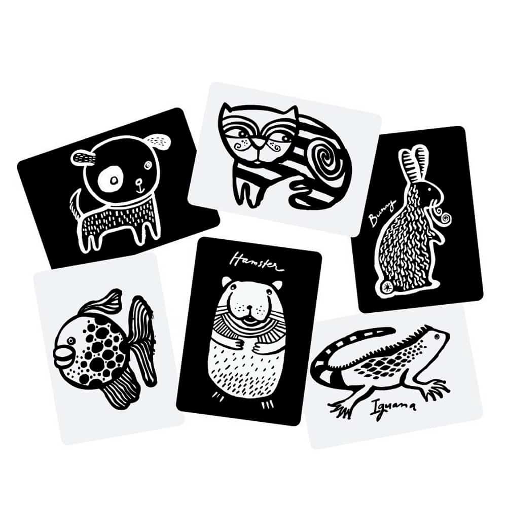 PETS ART CARDS FOR BABY