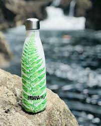 FERN500ml DRINK BOTTLE