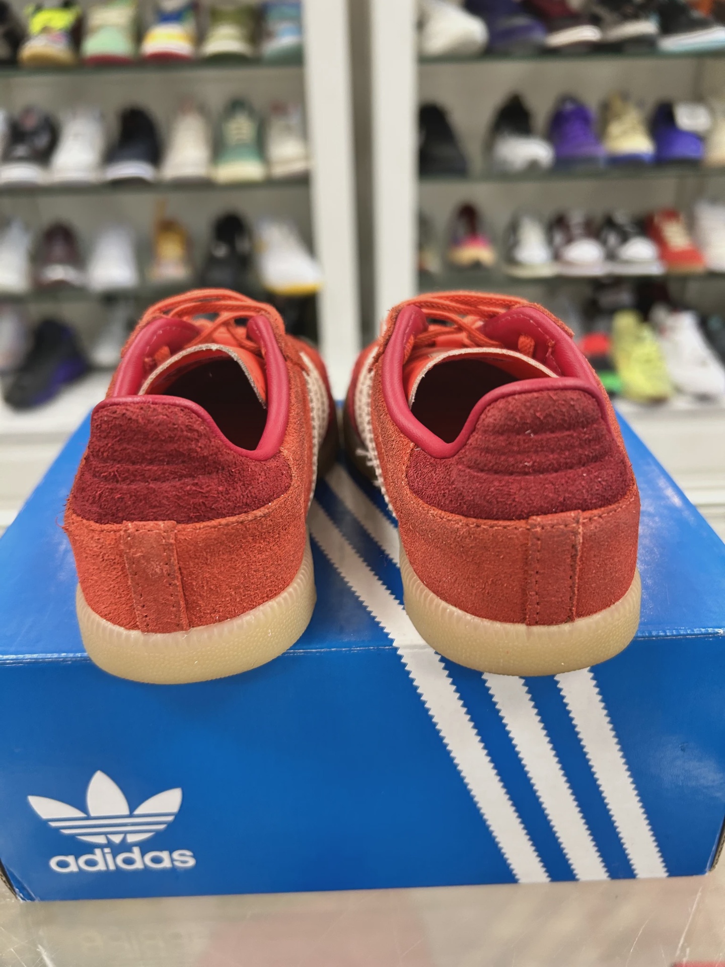 Samba kids • Pre-Owned [7861] 3