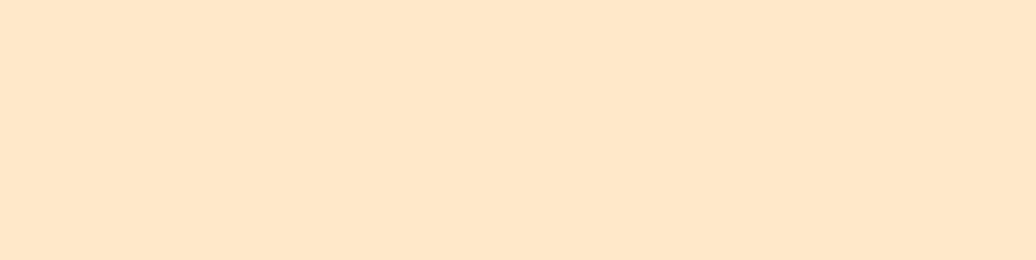 MT Washi Tape
