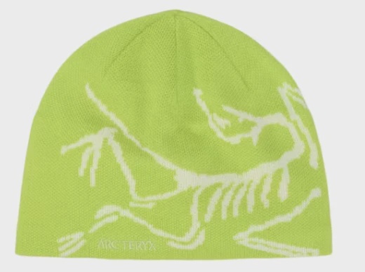 Arc'teryx Bird Head Toque Beanie Mantis/Arctic Silk • Brand New [3693]