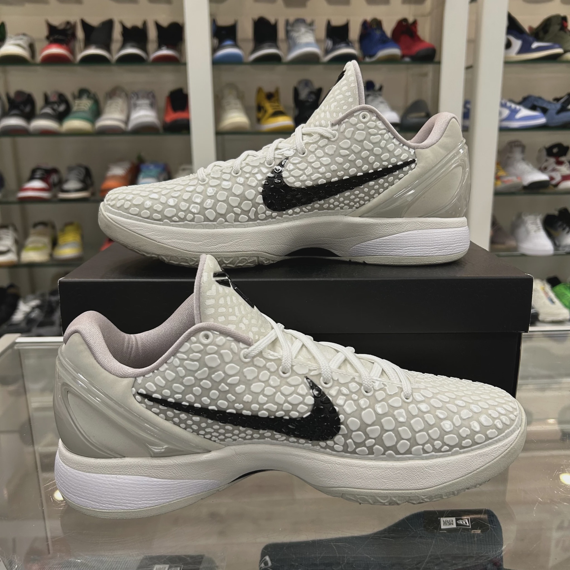 Nike Kobe 6 Protro Sail All-Star • Pre-Owned [2840] 2