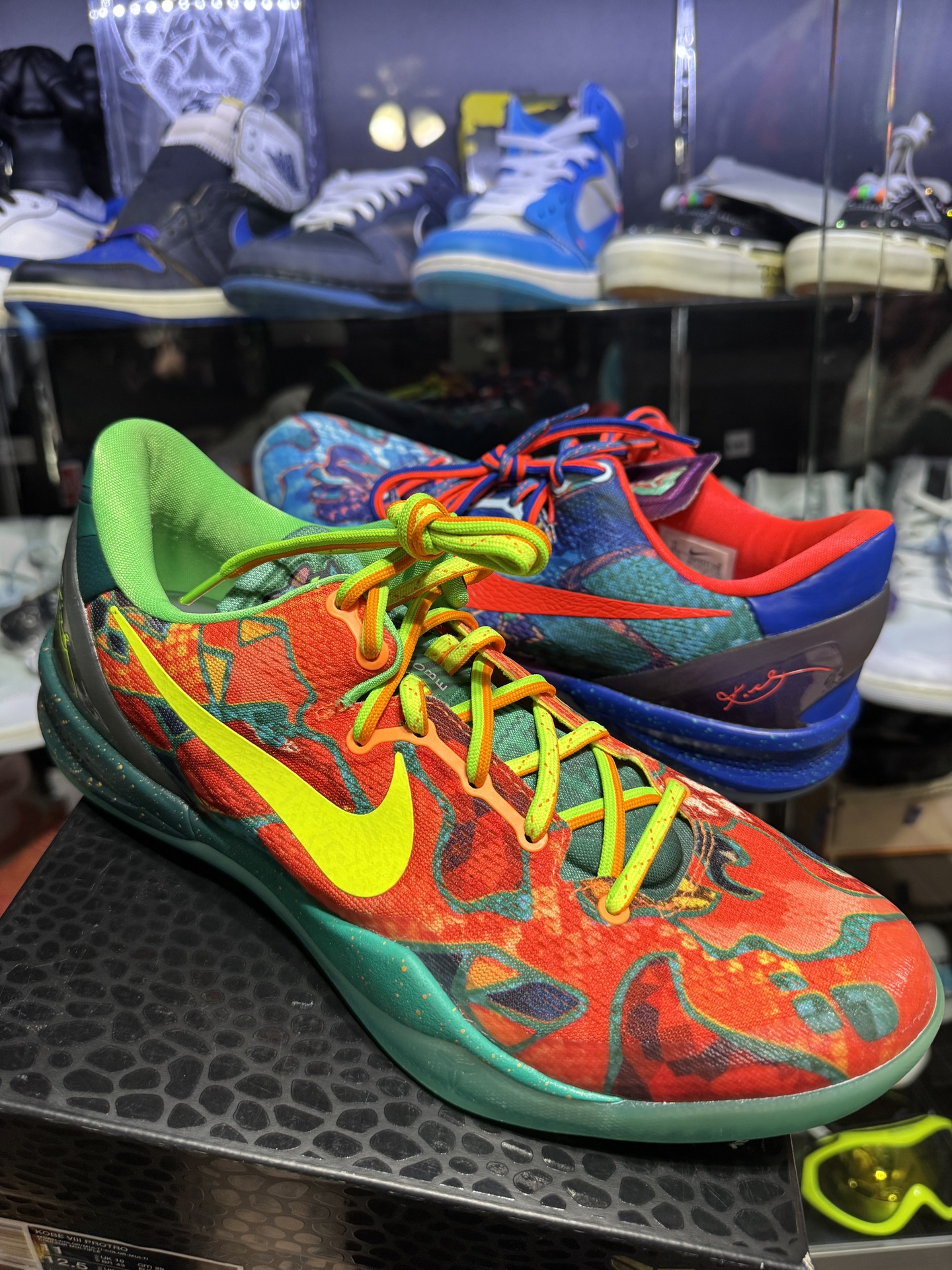 Nike Kobe 8 Protro What The (2025) • Pre-Owned [7823] - photo 1