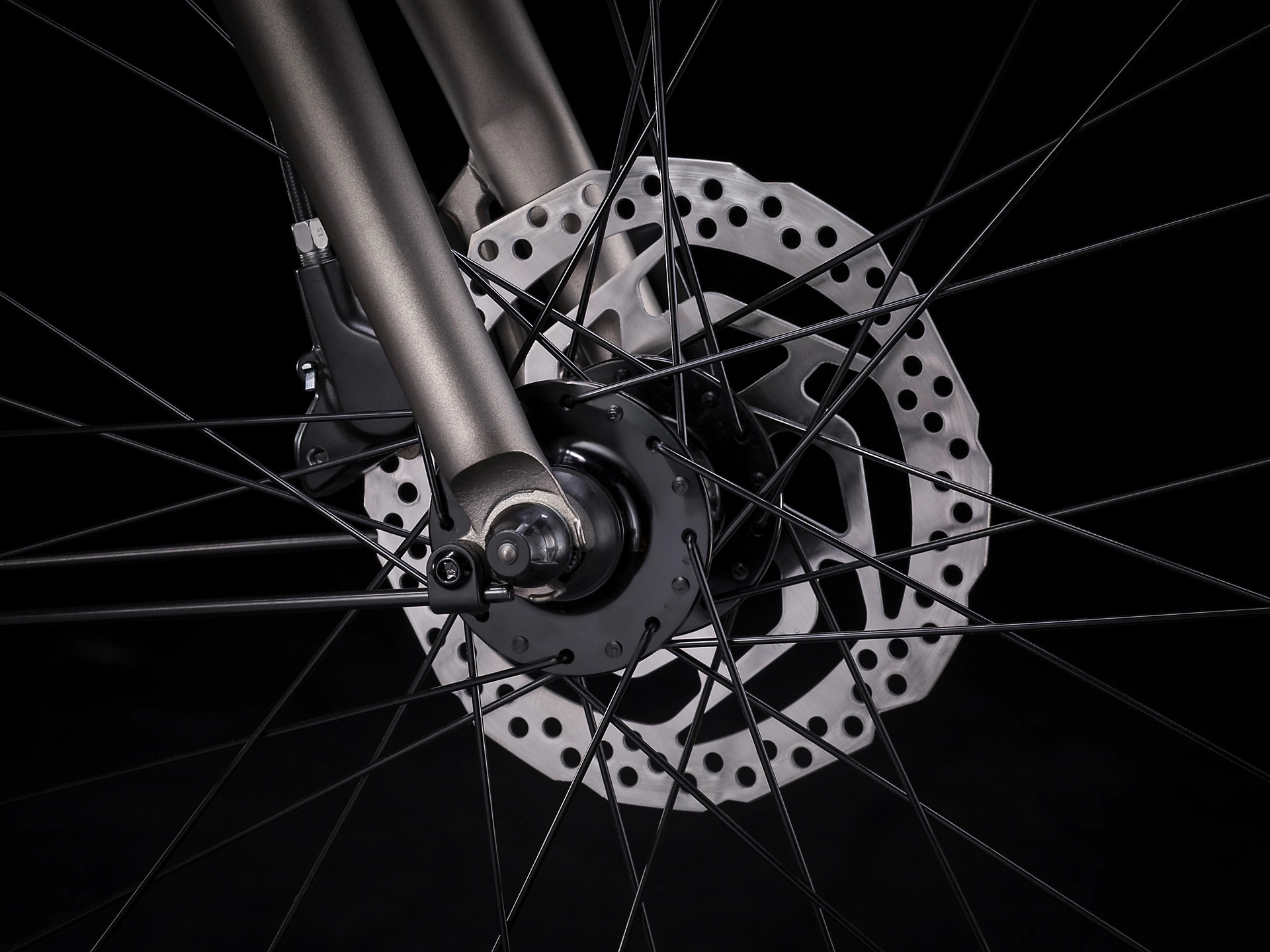 Trek Verve + 2 Lowstep MY22