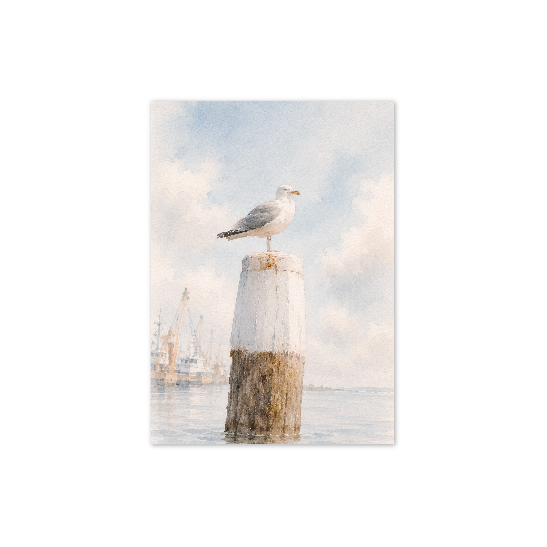 plek kaartje · haven — foto 1