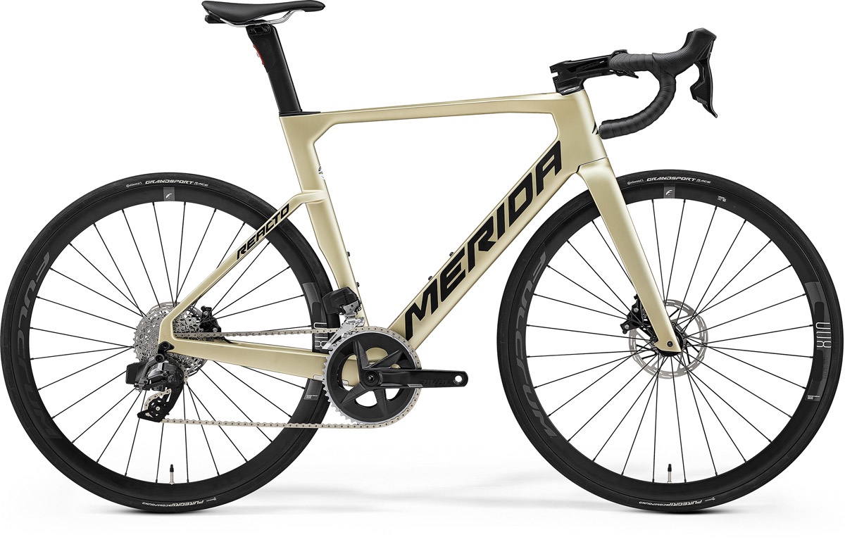 Merida Reacto Rival Edition