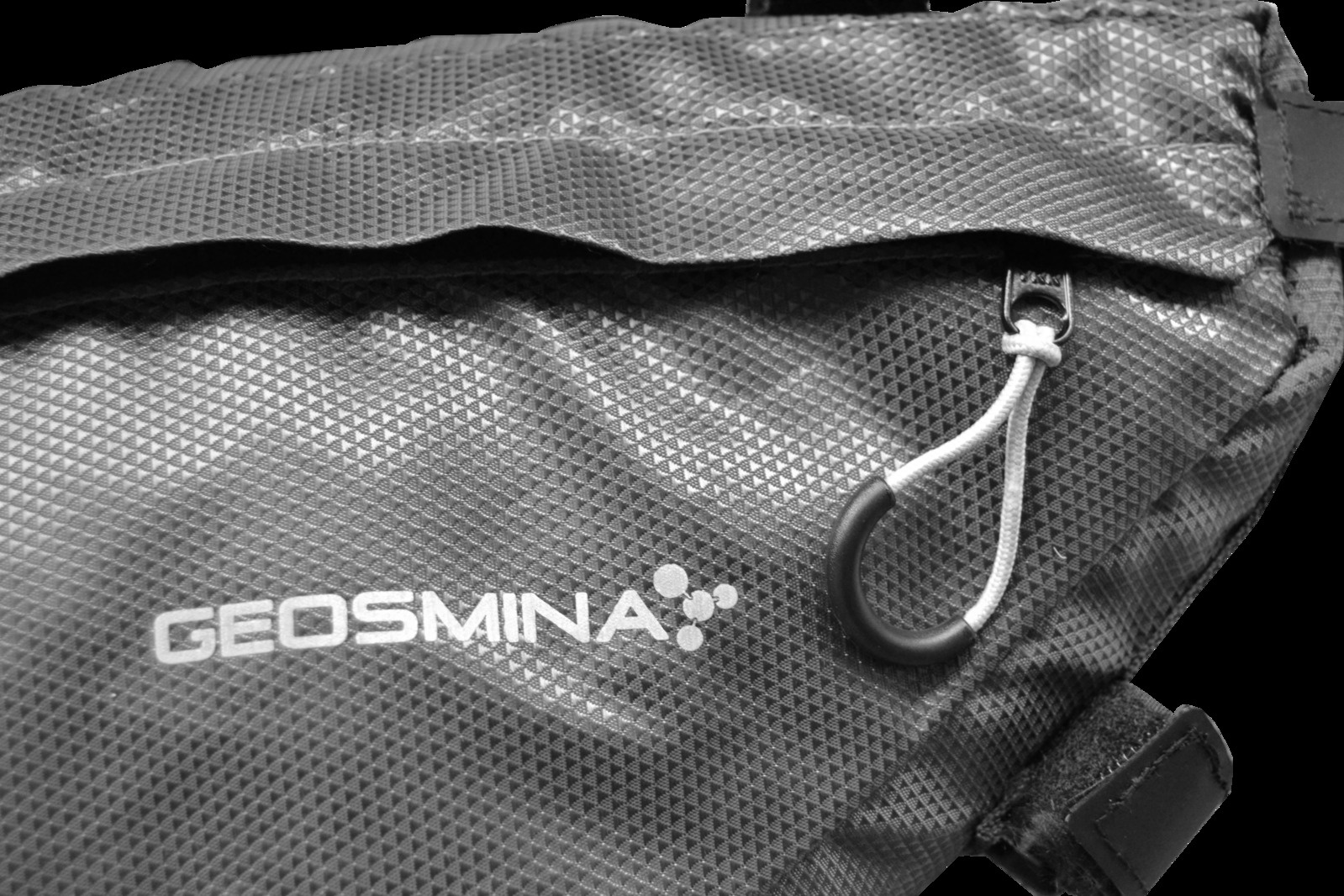 Geosmina Frame Bag