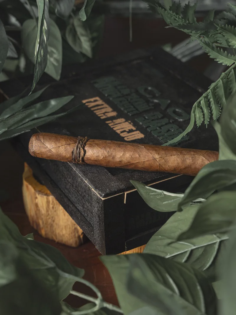 CAO - Amazon Basin Extra Anejo - Single