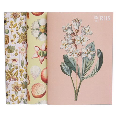 RHS Pack of 3 Stapled Sketchbooks A5 (D)