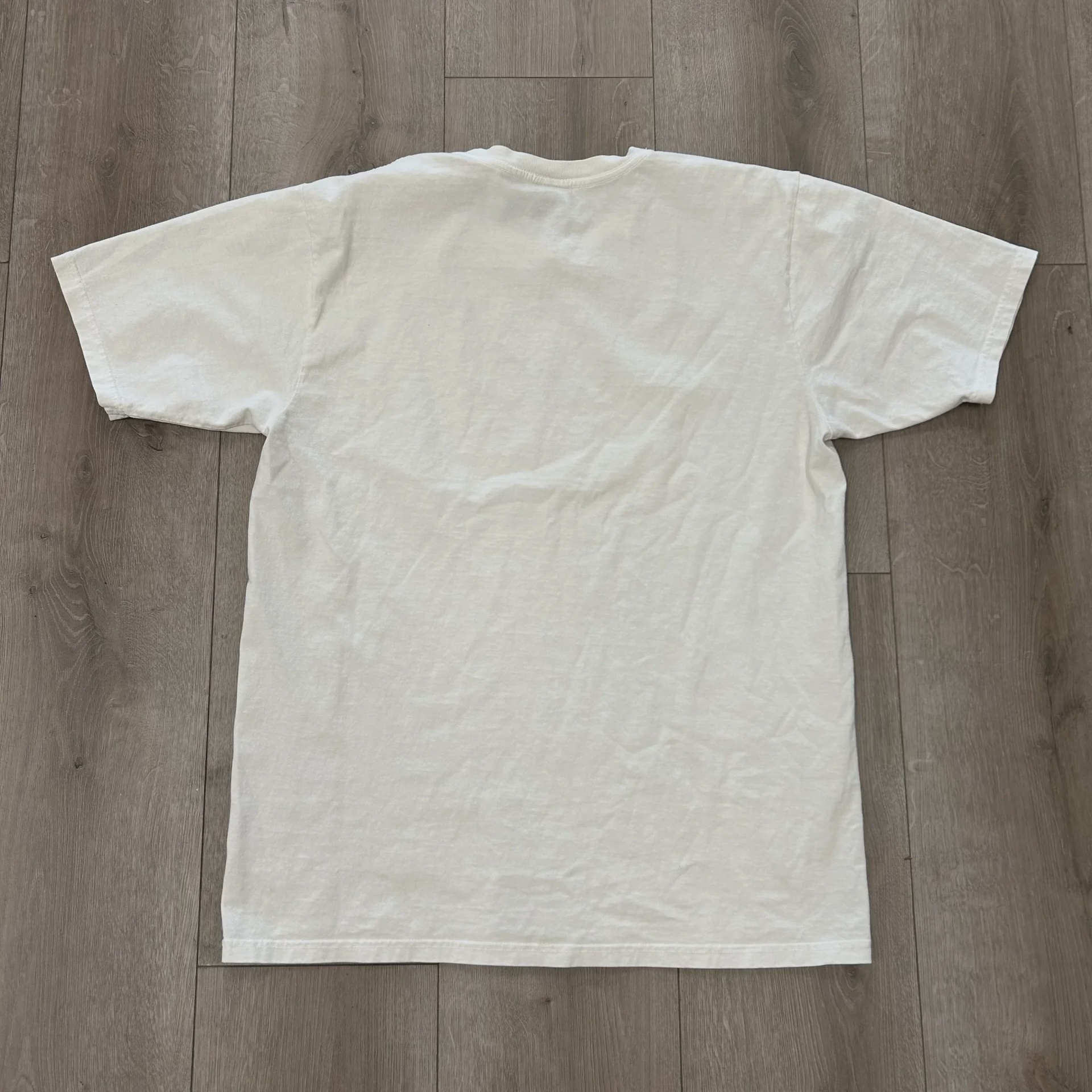 Men's S64 Pigment Dyed Tee • Pre-Owned [7232] - photo 5