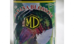 Md Banana Blossom In Brine 560g