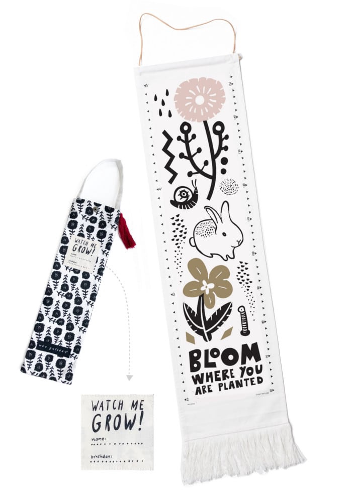 BLOOM CANVAS GROWTH CHART