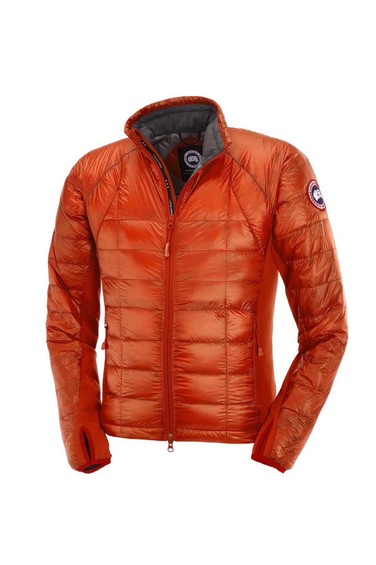 canada goose amber canada goose amber